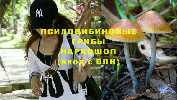 бошки Алексин